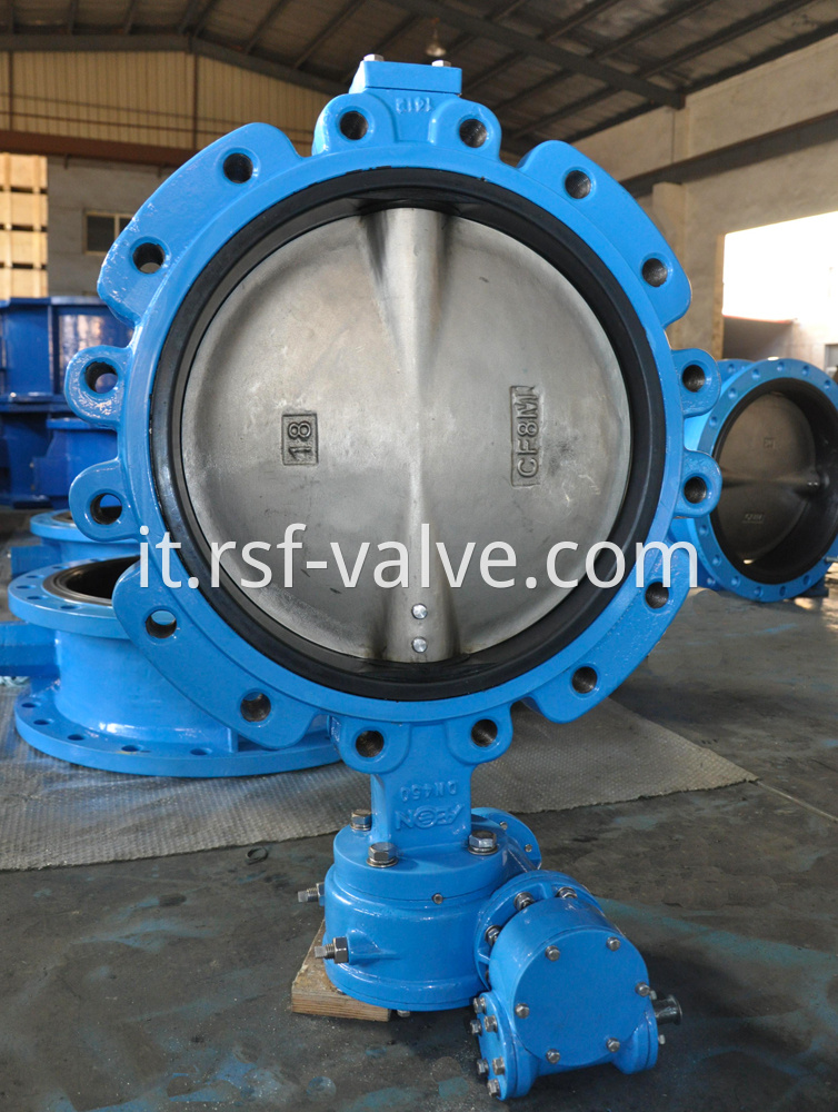 Concentric Lug Type Butterfly Valve 3